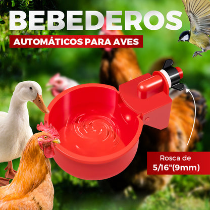 🐔 Bebederos Automáticos para Aves con Rosca de 5/16 Pulgadas
