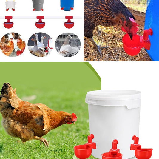 🐔 bebedero automático para aves de corral