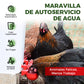 🐔 Bebederos Automáticos para Aves con Rosca de 5/16 Pulgadas