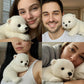 🔥El Polar Pal: el peluche que te calma en segundos