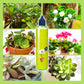 Nutriente Líquido para Plantas de Exterior e Interior