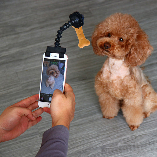 Flexible Gooseneck Clip para Fotos Atractivas de Mascotas