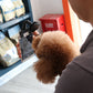Flexible Gooseneck Clip para Fotos Atractivas de Mascotas