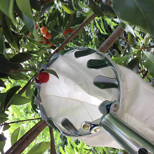 Cesta para recolectar fruta