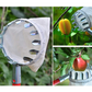 Cesta para recolectar fruta