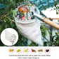 Cesta para recolectar fruta